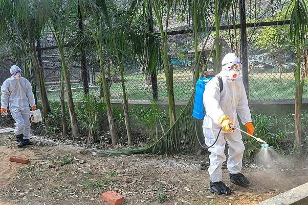 Bird Flu Scare In Delhi: Scores Of Crows Found Dead In Jasola park, Ducks At Sanjay Lake