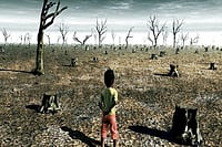 In A Battle Of Unequals, Here’s How Mankind Is Hurtling Towards Complete Destruction