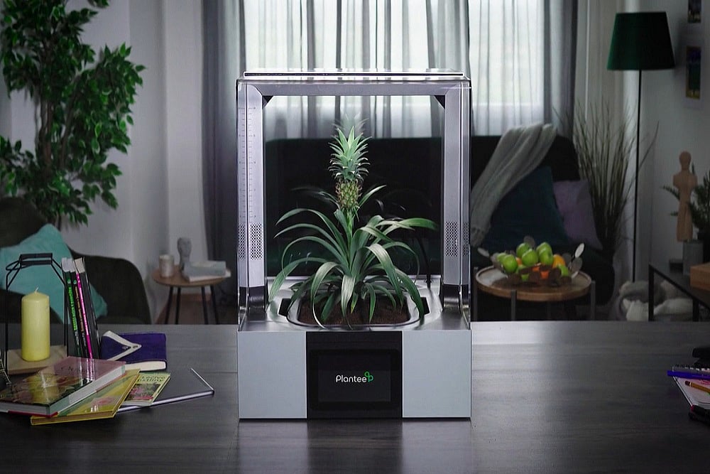 And Now… A Greenhouse For Your Living Room Table
