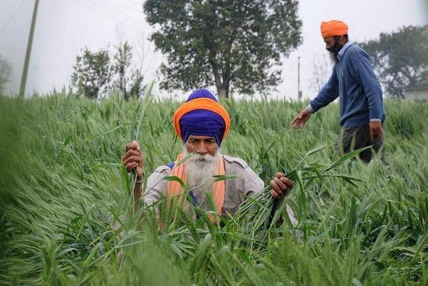 Punjab CM Urges PM To Allow Paddy Procurement From Today