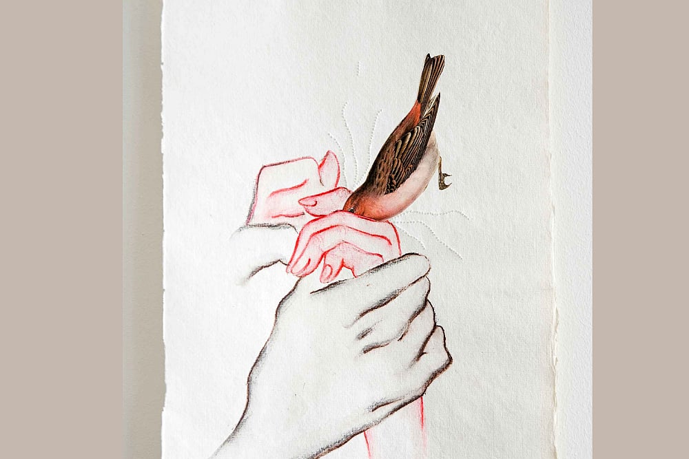 From Accentuating Sexuality To Questioning Hierarchy, Mithu Sen's Works Of Art Explore Multiple Domains