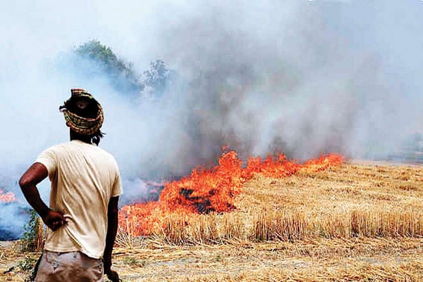 Stubble Burning: How Can North India Control The Pollution?