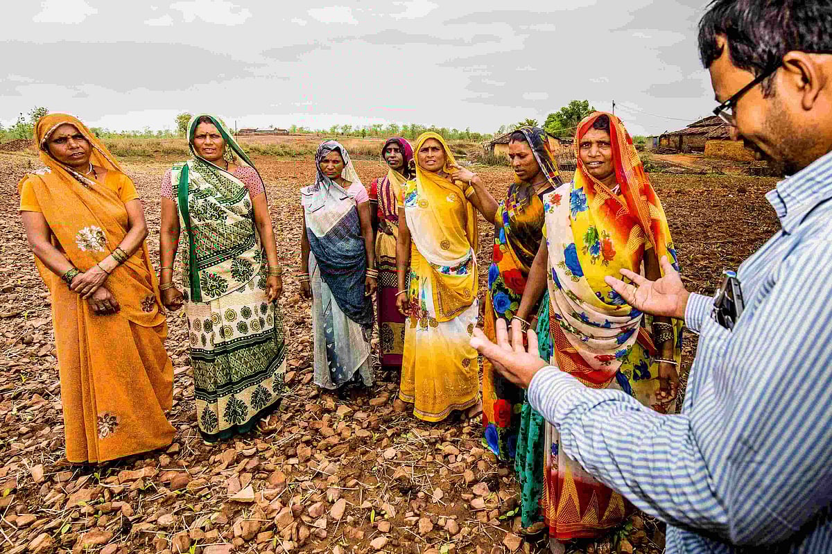 Here's How The Pesticide-Free Food Products Can Be A Part Of Your Good Health