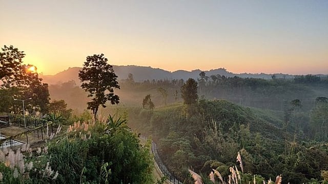 Explainer | Why Tripura's Karbong Tribe Is On The Verge Of Extinction