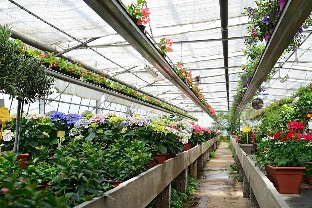 India Expects Record Horticulture Crops Production