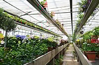 India Expects Record Horticulture Crops Production