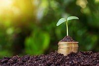 Purplle Raises $75 Million In Funding Round Led By Kedaara, Sequoia Capital India, Others