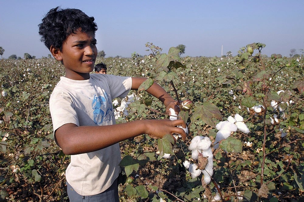 How You Can Take Part In Celebrating World Cotton Day