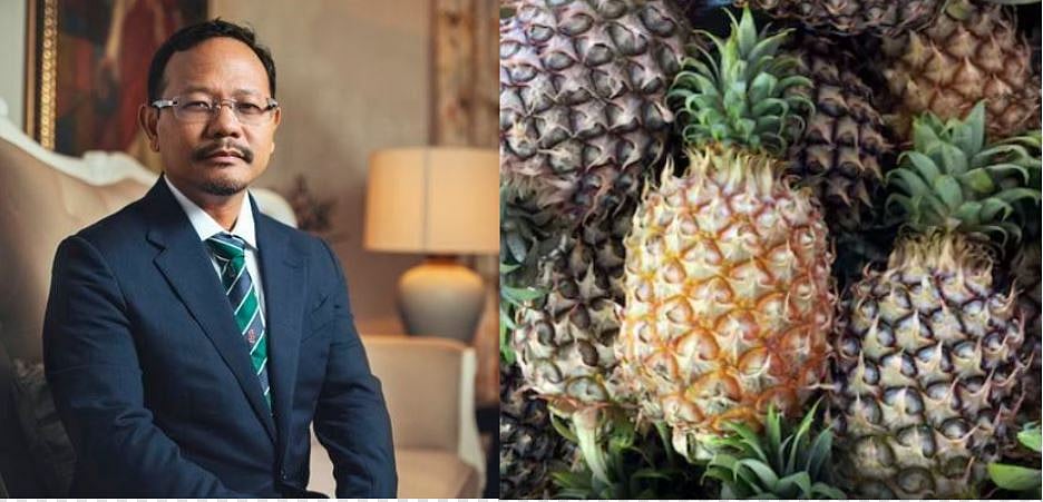 Meghalaya Govt. Exploring To Make Pineapple Leather, Says State's Environment Minister