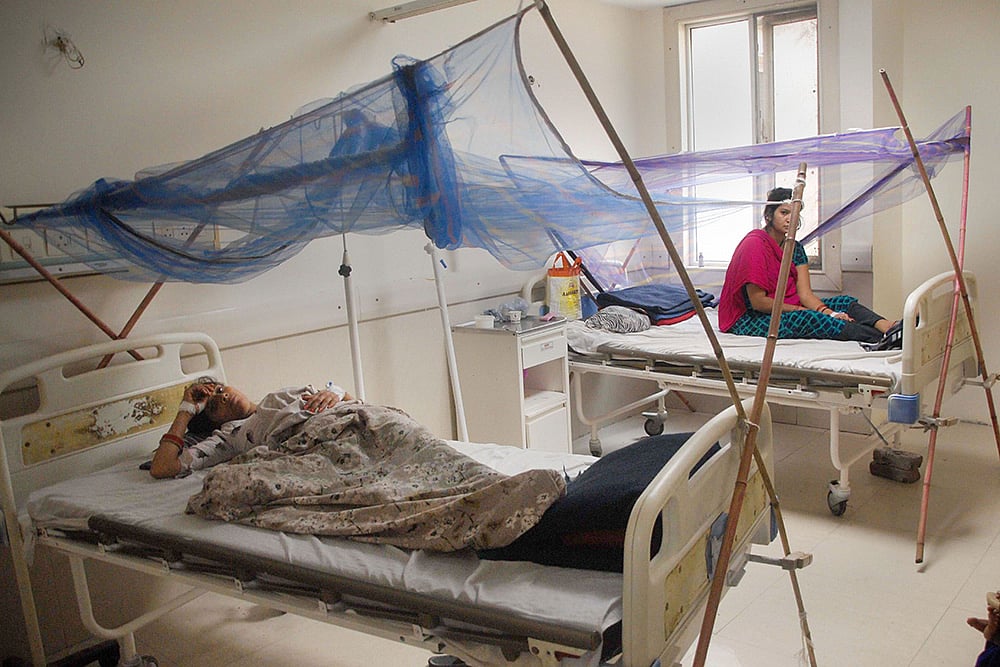 Dengue Cases In Delhi Mount To Over 7,100 This Year; 5,600 Cases Recorded In November Alone