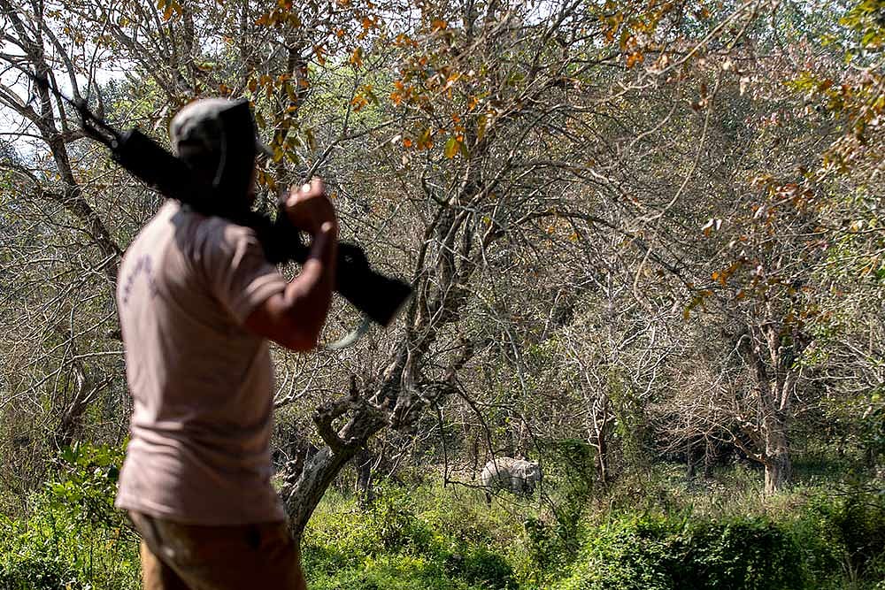 Arunachal Pradesh: Rescued Bear Cubs Are Being Readied To Be Released In The Wild