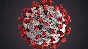 Coronavirus: South African Scientists Detect New Virus Variant Amid Spike