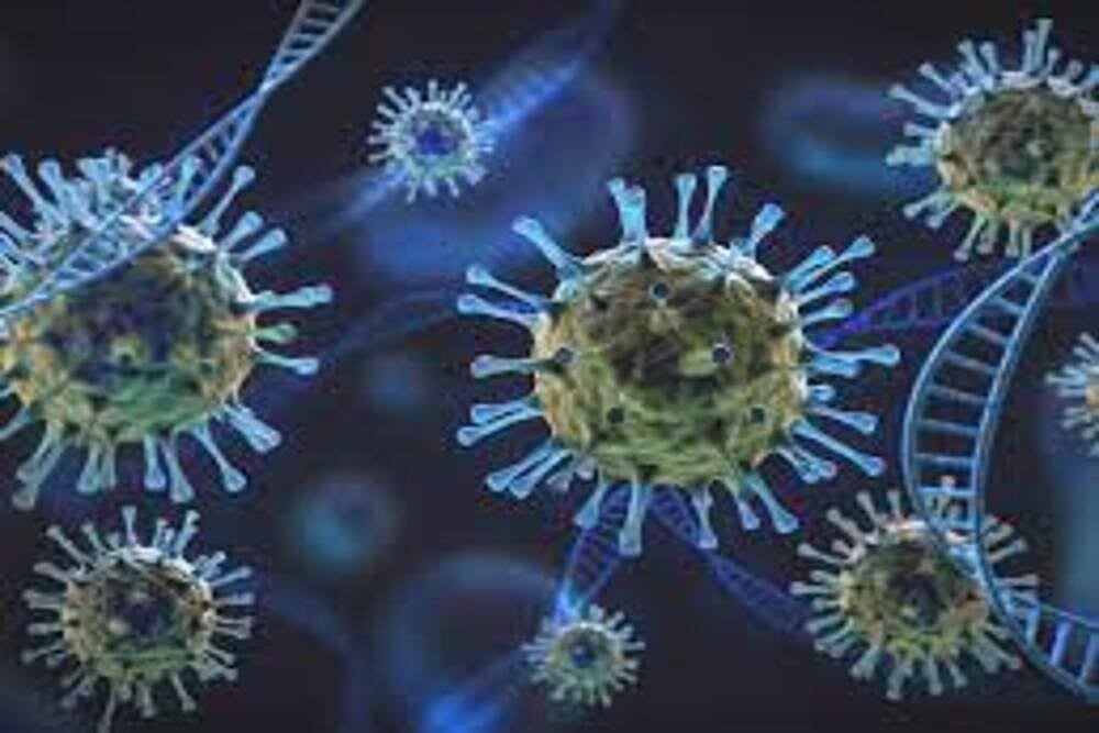 Maharashtra records 91 cases of the KP.2 variant of Omicron