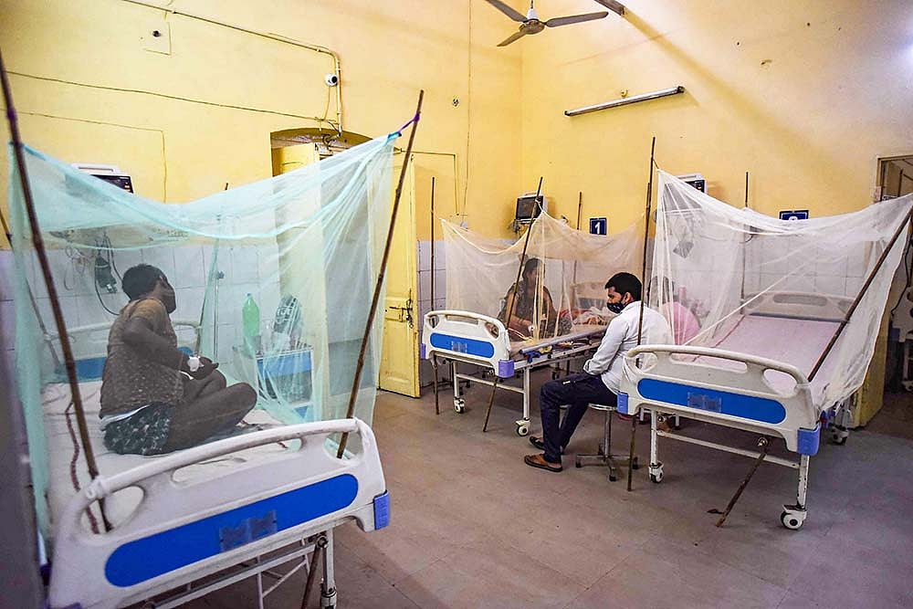 Goverment To Rajya Sabha: India Reported 1.64 Lakh Dengue Cases During 2021 Against 2.05 Lakh Cases In 2019