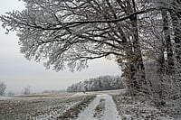 Climate Change: Excess Rainfall, La Nina Condition Likely To Cause Severe Winter This Year