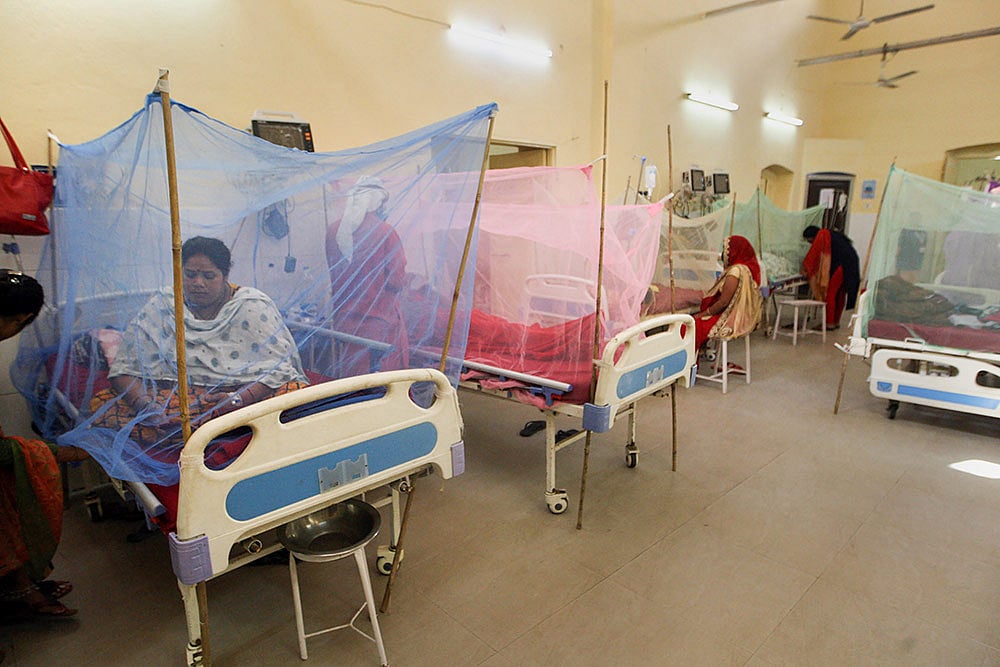 Delhi High Court Pulls Up Muncipal Corporation On Doubling Of Dengue Cases