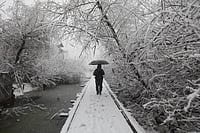 File photo; Representative image : Tourist resorts in the region also reported sub-zero temperatures. 