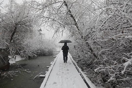 Kashmir Records Freezing Temperatures As Dense Fog Covers Valley