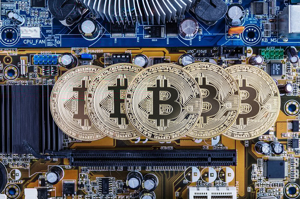 Shiba Inu’s Big Taiwan Listing Fails To Cheer Investors; Melania Trump Joins NFT Bandwagon