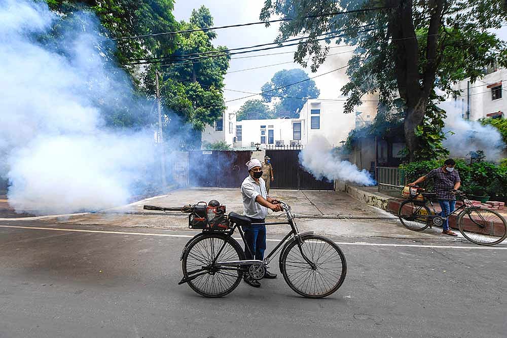 Delhi HC Directs Local Bodies To Constitute Task Forces To Control Mosquito Breeding