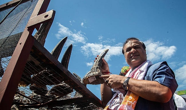 Assam govt to set up investment holding firm for oil & gas sector