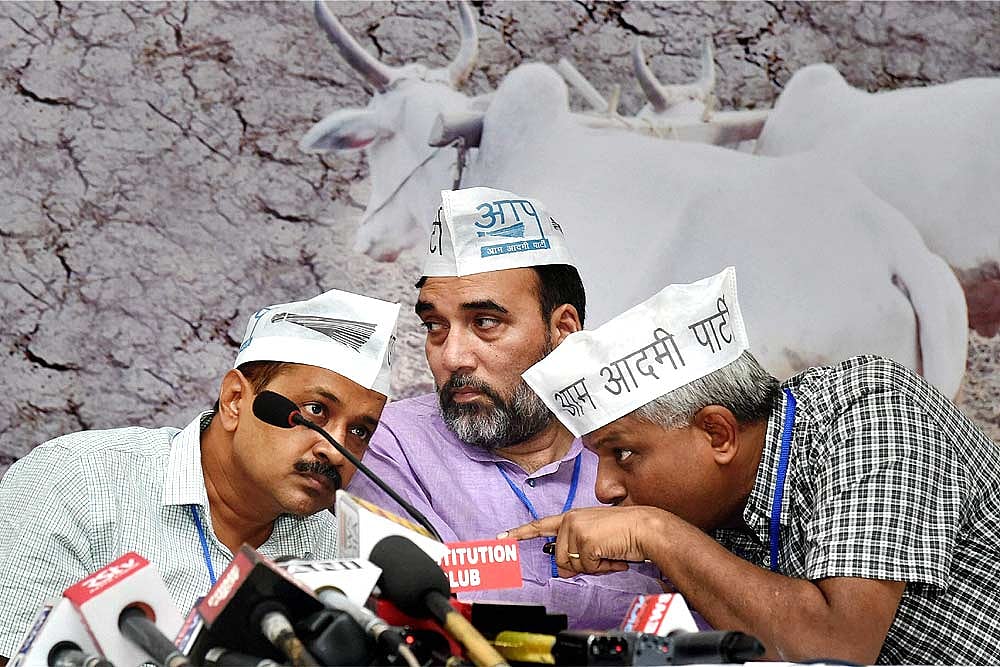 Guj: AAP To Intensify Protest Over Clerk Exam Paper Leak; Fast Of Two Leaders Enters Day 4