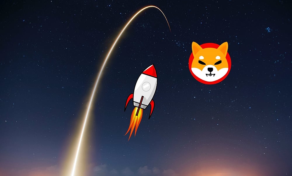 Shiba Inu Beats Bitcoin In Popularity In 2021; Gets 43 Million More Views