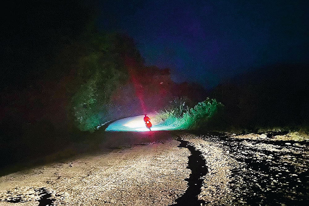 Gods, Bots And The New World Order