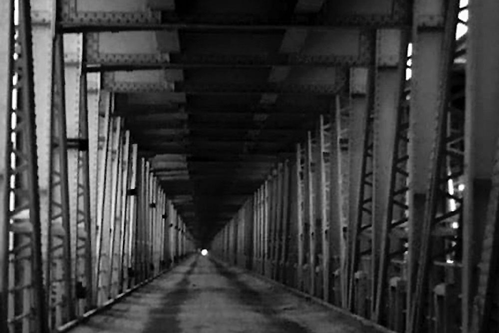 Brave New World Under The Shadow Of The Pandemic