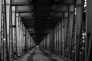 Brave New World Under The Shadow Of The Pandemic