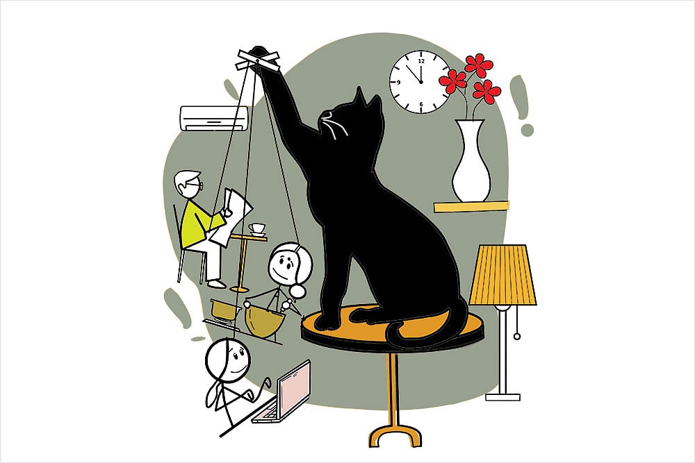 Meowdi: A Short Story by Perumal Murugan