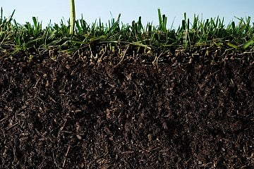 World Soil Day 2021: Why IS Soil Conservation Important