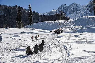 Snowfall Alert in Himachal Pradesh: Western Disturbance to Break Dry Spell; Temperatures Dip Below Freezing