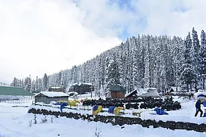 A view after fresh snowfall at the world famous ski resort in Gulmarg, Kashmir.