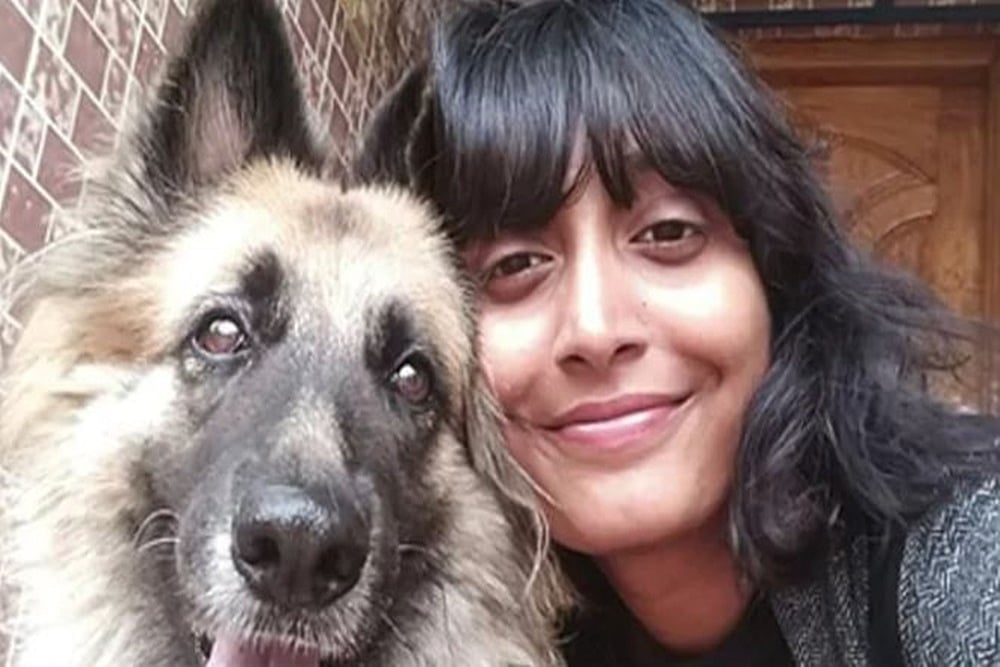 What Is A Toolkit That Led To Disha Ravi's Arrest?