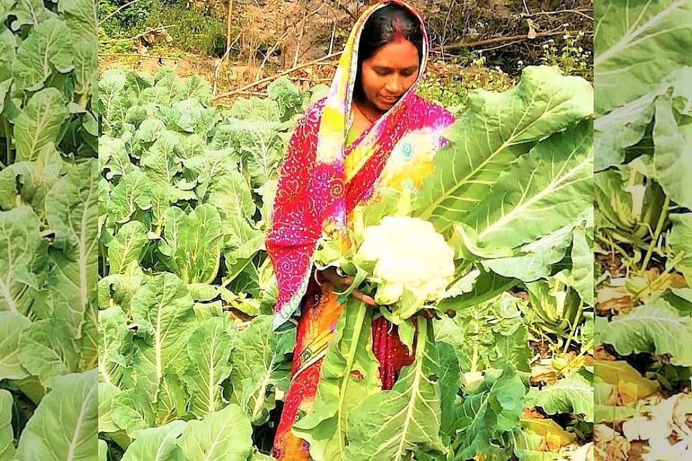 Grit, Determination: Inspiring Story Of A Woman Farmer
