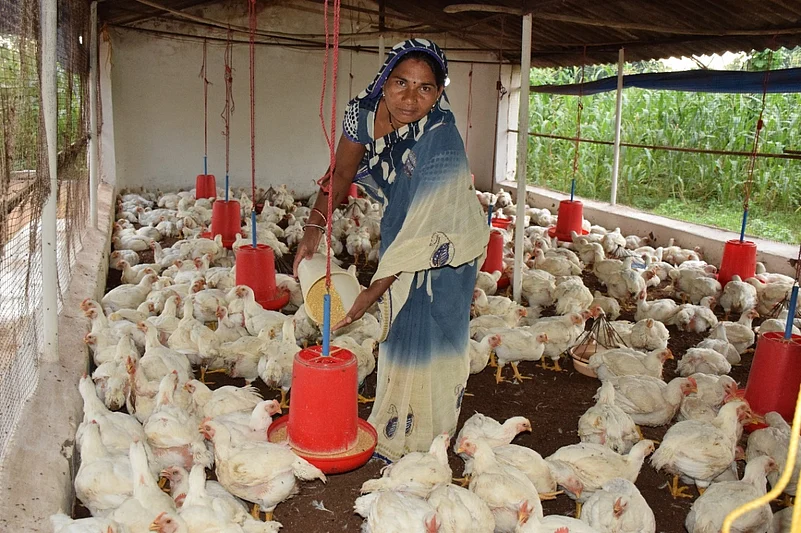 How Eggs And Women Transformed A Malnutrition-Prone Village