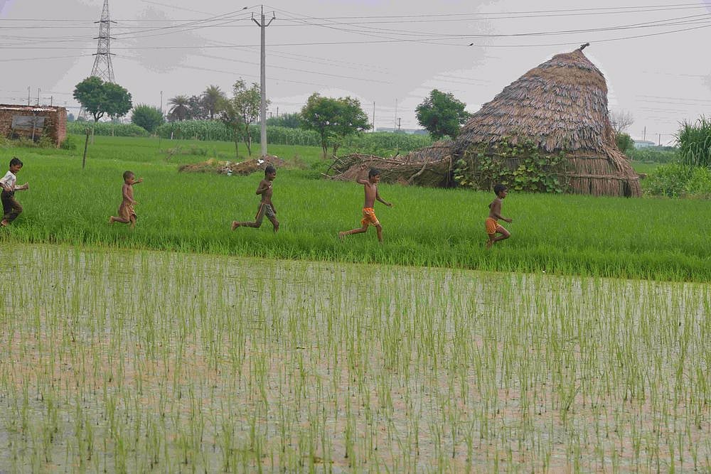 Agriculture Growth ‘Bright Spark’ In Times Of Pandemic: Study