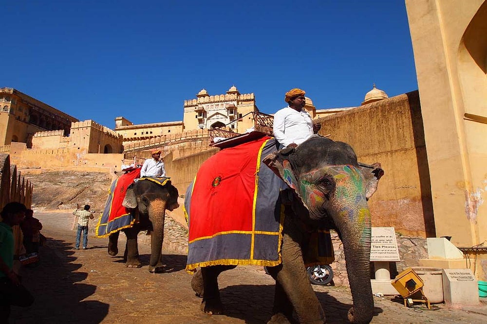 PETA Has Designed An Electric Chariot To Replace Elephant Ride At Amer Fort