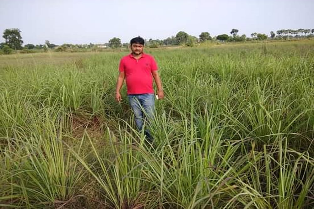 Can This Bihar Farmer Grow The ‘World’s Costliest Vegetable’?