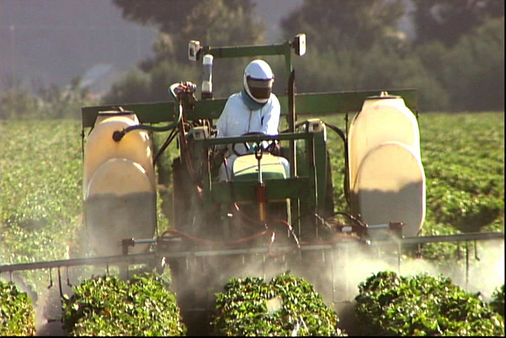 EU Move To Revise Pesticide Rules, But No Ban On Exports Yet