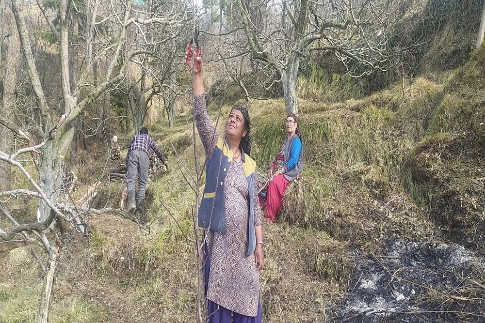 Defying All Odds, This Single Mom Is Managing Her Apple Farms To Fulfil Her Husband’s Dream