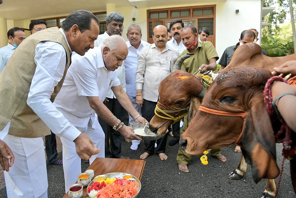 Karnataka CM Celebrates Passage Of Anti-Cow Slaughter Bill By Garlanding Cattle