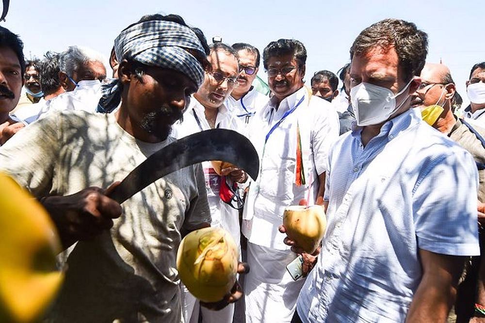 Rahul Gandhi Spotted Eating Palm Fruit With Locals In Kanyakumari, Party Shares Video On Twitter