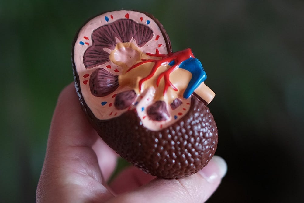 Dietary Do’s And Don’ts For Kidney Disease