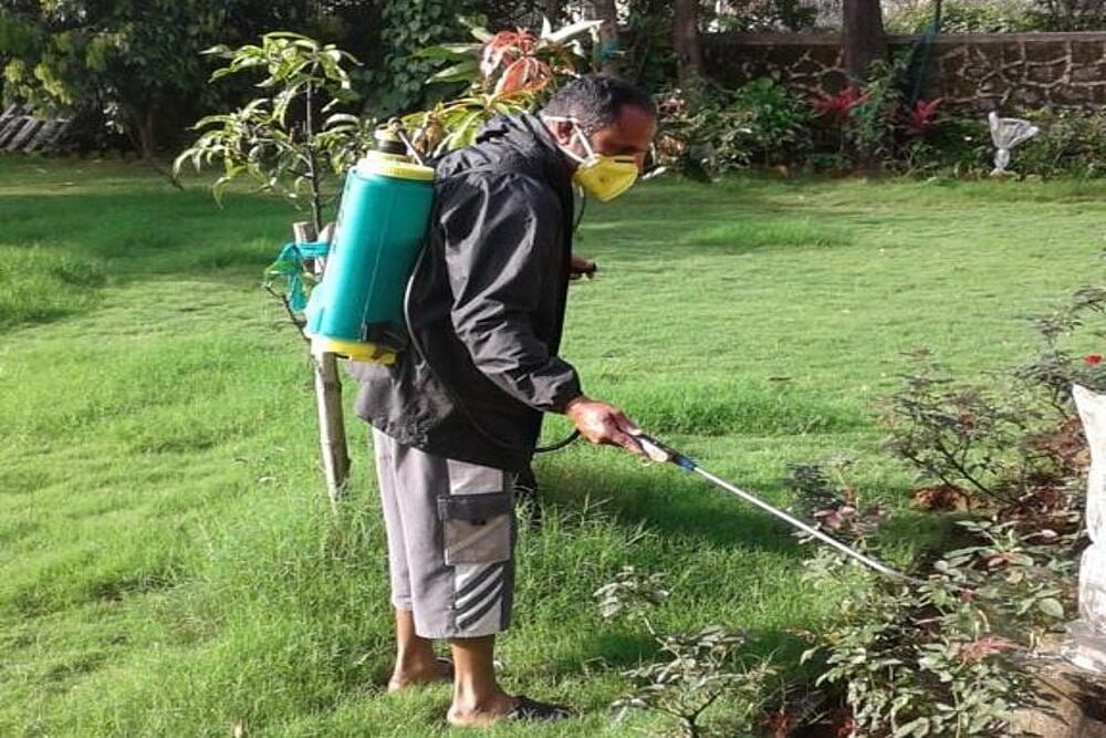 Agrochemicals Bounce Back Despite Covid-19 Fears