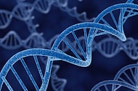 Genetic Disorders Among Children: Spot It Early