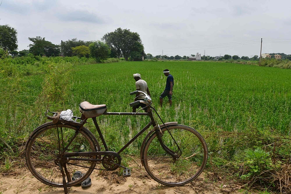 Tata Trusts Hope To End Crop Residue Burning By 2024