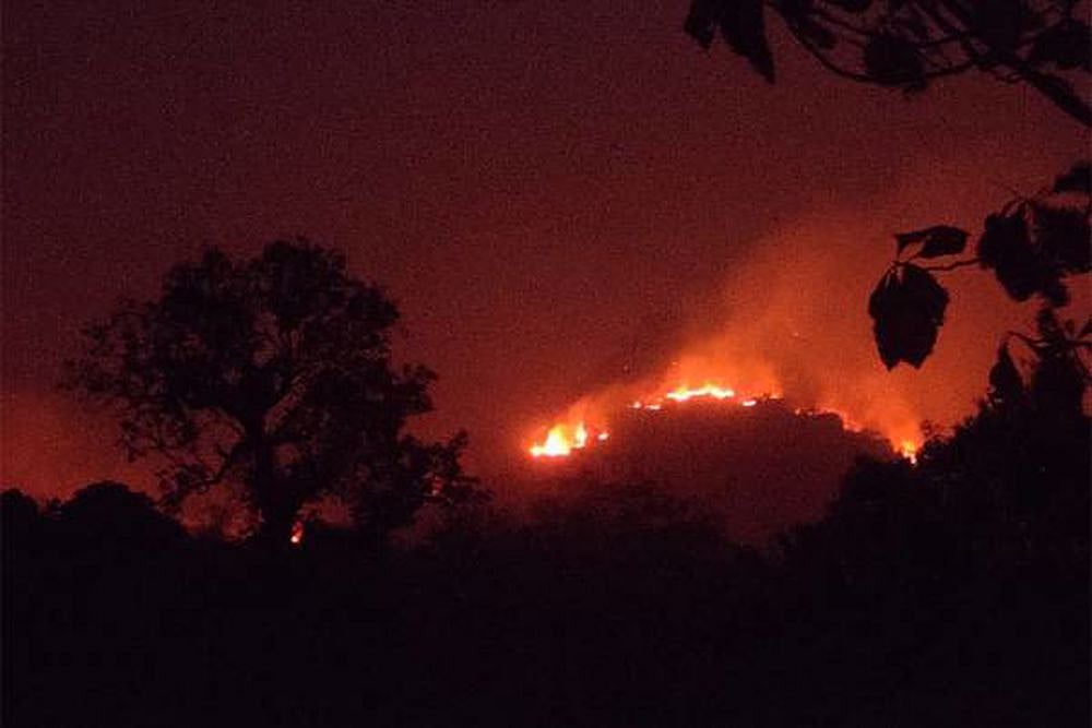 The Lessons We Didn't Learn From The Simlipal Fire