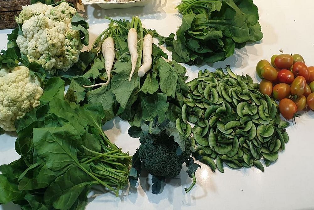 Strengthening Farmgate Cold Chain Infrastructure For Fruits And Vegetables